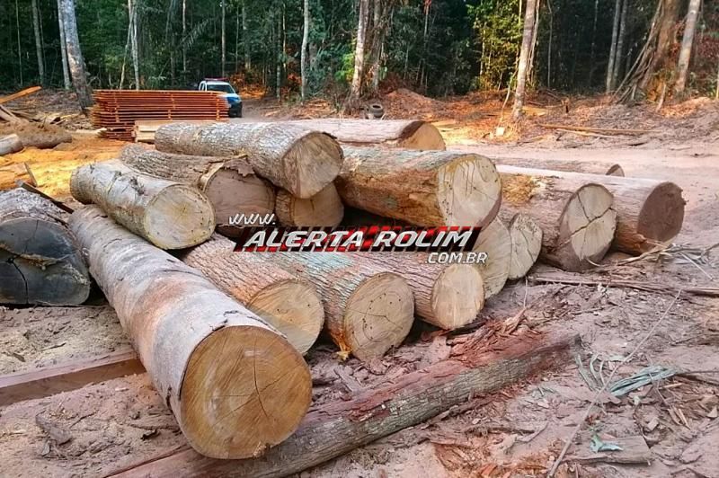 Armas de fogo, munições, tratores e madeiras são apreendidas pela PM, durante Operação Hórus