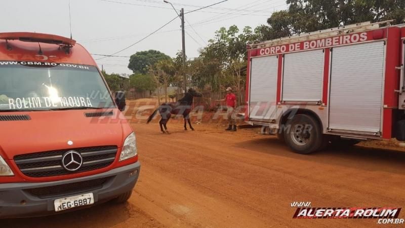Bombeiros resgatam cavalo de dentro de fossa no bairro boa esperança em Rolim de Moura Bombeiros resgatam cavalo de dentro de fossa no bairro boa esperança em Rolim de Moura