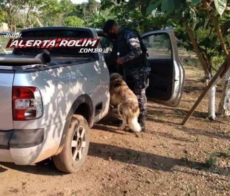Casal envolvido com tráfico de drogas é preso durante trabalho em conjunto da PM e PC de Rolim de Moura e Canil de Cacoal Casal envolvido com tráfico de drogas é preso durante trabalho em conjunto da PM e PC de Rolim de Moura e Canil de Cacoal