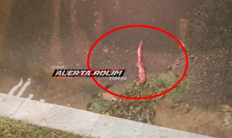 Homem é morto a facadas e pauladas, no centro de Rolim de Moura Homem é morto a facadas e pauladas, no centro de Rolim de Moura