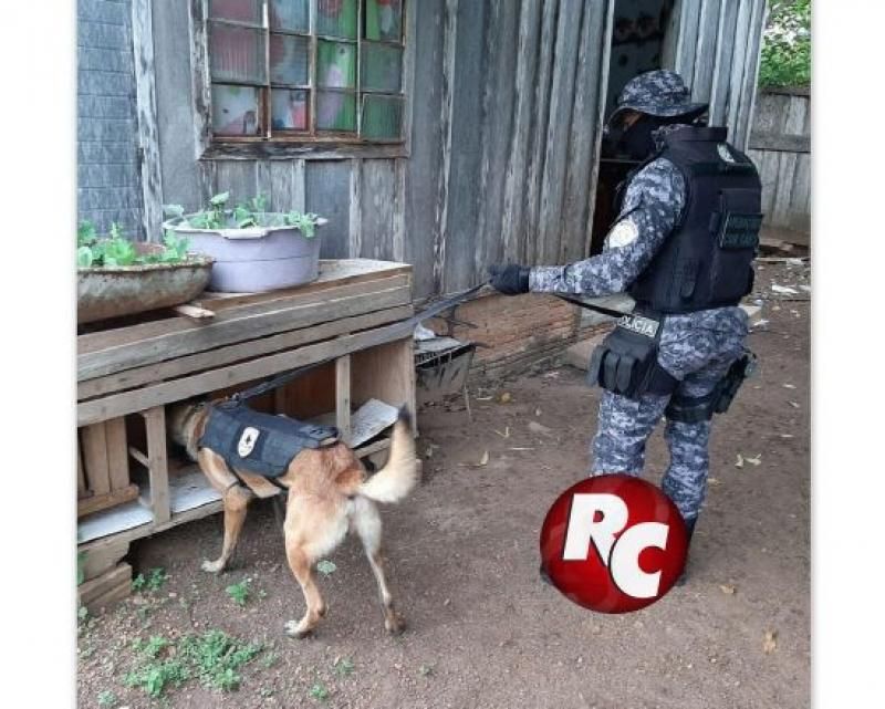 Polícia Civil e Polícia Militar com o apoio do Canil deflagrou operação “Armstrong” para desarticular prática de roubos na região do Vale do do Guaporé e Zona da Mata Polícia Civil e Polícia Militar com o apoio do Canil deflagrou operação “Armstrong” para desarticular prática de roubos na região do Vale do do Guaporé e Zona da Mata