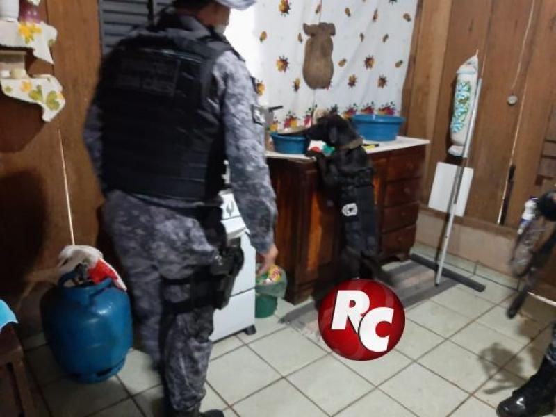 Polícia Civil e Polícia Militar com o apoio do Canil deflagrou operação “Armstrong” para desarticular prática de roubos na região do Vale do do Guaporé e Zona da Mata Polícia Civil e Polícia Militar com o apoio do Canil deflagrou operação “Armstrong” para desarticular prática de roubos na região do Vale do do Guaporé e Zona da Mata