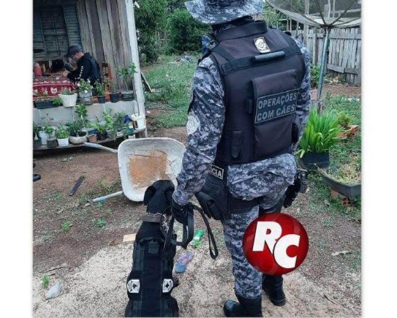 Polícia Civil e Polícia Militar com o apoio do Canil deflagrou operação “Armstrong” para desarticular prática de roubos na região do Vale do do Guaporé e Zona da Mata Polícia Civil e Polícia Militar com o apoio do Canil deflagrou operação “Armstrong” para desarticular prática de roubos na região do Vale do do Guaporé e Zona da Mata