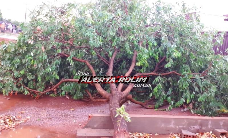 Vendaval e chuva de granizo causam estragos em Rolim de Moura; Corpo de Bombeiros foi acionado a atuar em diversas localidades Vendaval e chuva de granizo causam estragos em Rolim de Moura; Corpo de Bombeiros foi acionado a atuar em diversas localidades