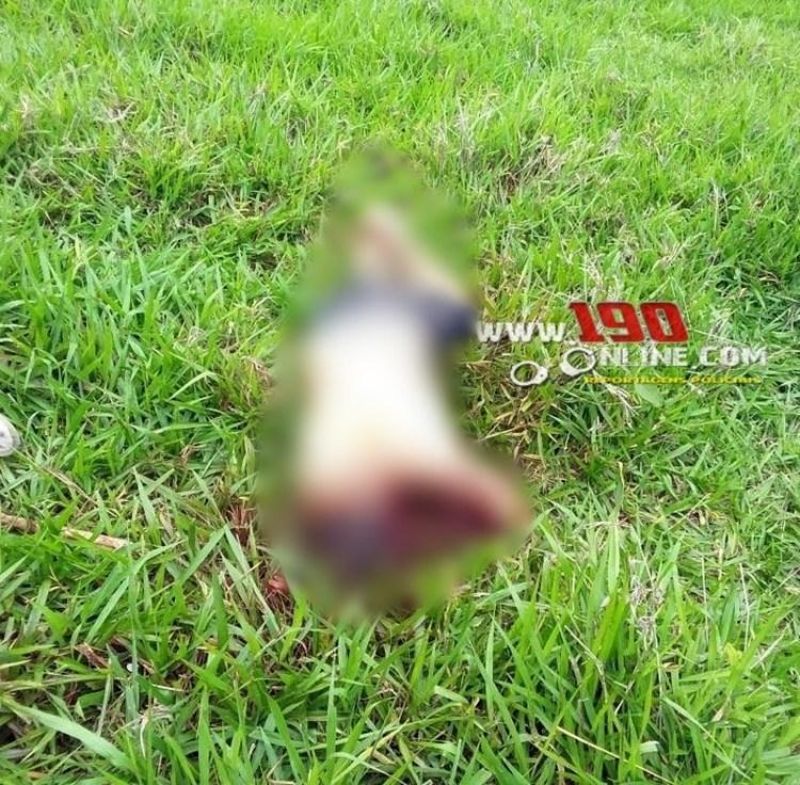 Atualizada – Técnico em enfermagem é cruelmente assassinado em residência na zona rural de Alta Floresta D´Oeste Atualizada – Técnico em enfermagem é cruelmente assassinado em residência na zona rural de Alta Floresta D´Oeste