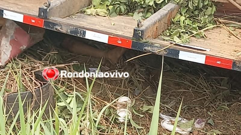 Caminhão capota na BR-364 e mata trabalhadores nesta manhã de terça-feira, em RO - Vídeo Caminhão capota na BR-364 e mata trabalhadores nesta manhã de terça-feira, em RO - Vídeo