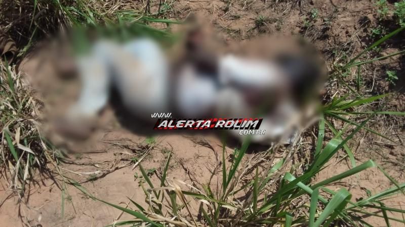 Homem é encontrado morto na Zona Rural do município de Parecis Homem é encontrado morto na Zona Rural do município de Parecis
