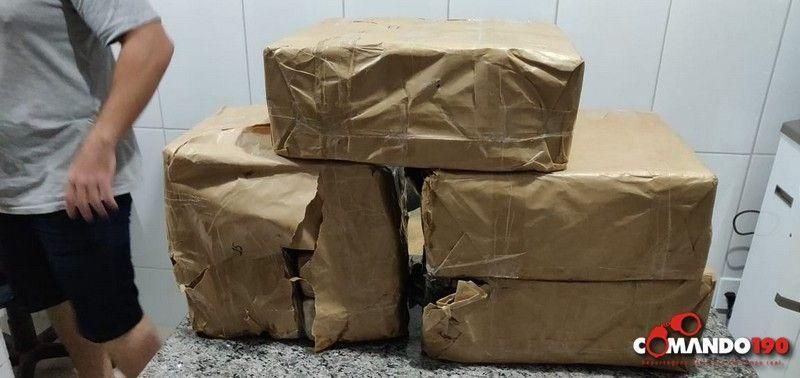 Operação em conjunto entre PM, PC, PRF e Polícia Penal resulta na apreensão de mais de 150 Kg de Maconha e na prisão de irmão da Prefeita afastada de Cacoal Operação em conjunto entre PM, PC, PRF e Polícia Penal resulta na apreensão de mais de 150 Kg de Maconha e na prisão de irmão da Prefeita afastada de Cacoal
