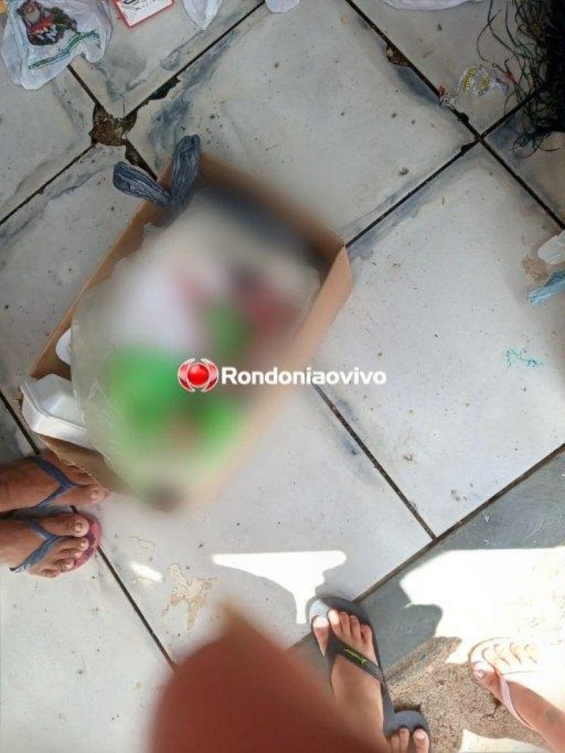 Feto é encontrado jogado em lixeira de condomínio, em RO Feto é encontrado jogado em lixeira de condomínio, em RO