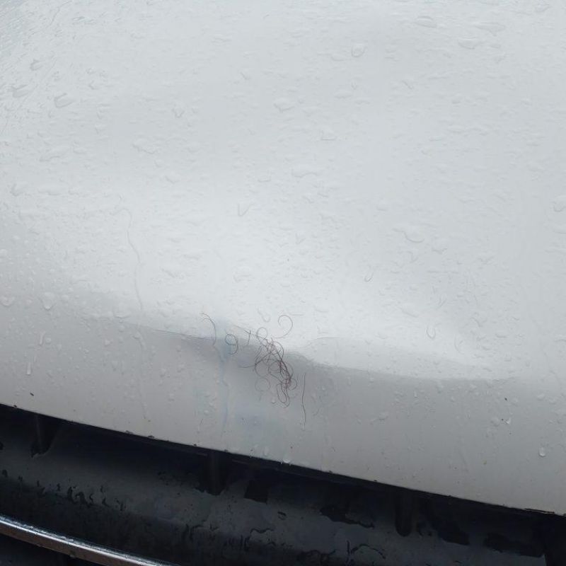 Homem é atingido por caminhonete ao atravessar faixa de pedestres no Centro de Rolim de Moura Homem é atingido por caminhonete ao atravessar faixa de pedestres no Centro de Rolim de Moura