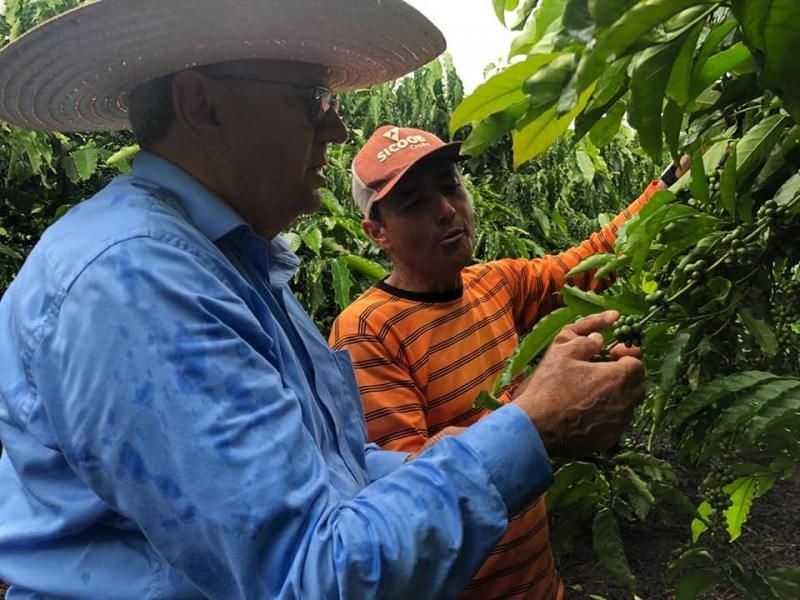 Vice-Governador realiza visita a propriedade da família Bento, exemplo de Agroindústria familiar, em Cacoal Vice-Governador realiza visita a propriedade da família Bento, exemplo de Agroindústria familiar, em Cacoal