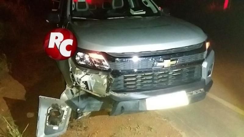 Caminhonete bate em capivara na pista, em São Miguel do Guaporé Caminhonete bate em capivara na pista, em São Miguel do Guaporé