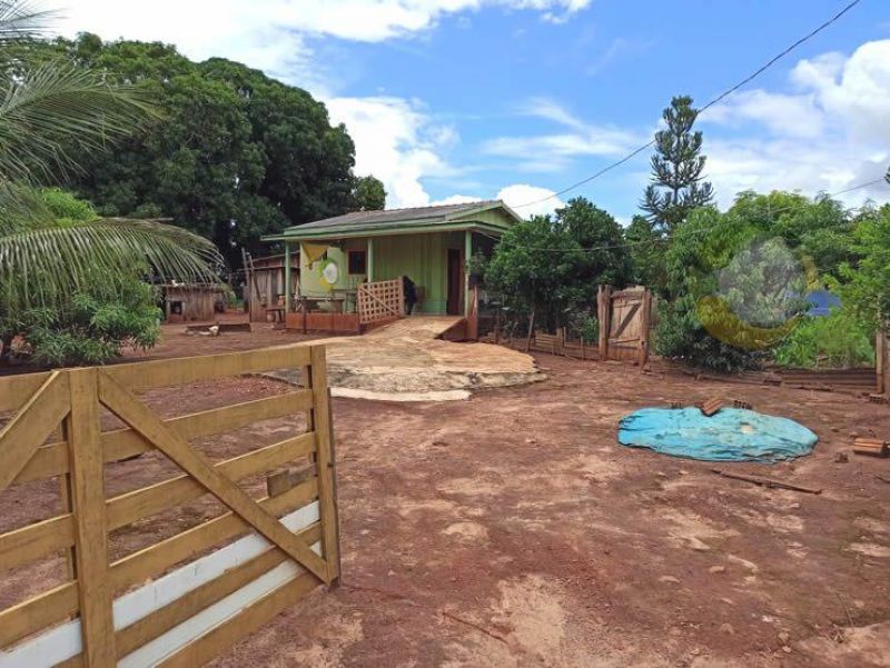 Filha mata o próprio pai com facada no pescoço, em Alta Floresta D´Oeste Filha mata o próprio pai com facada no pescoço, em Alta Floresta D´Oeste