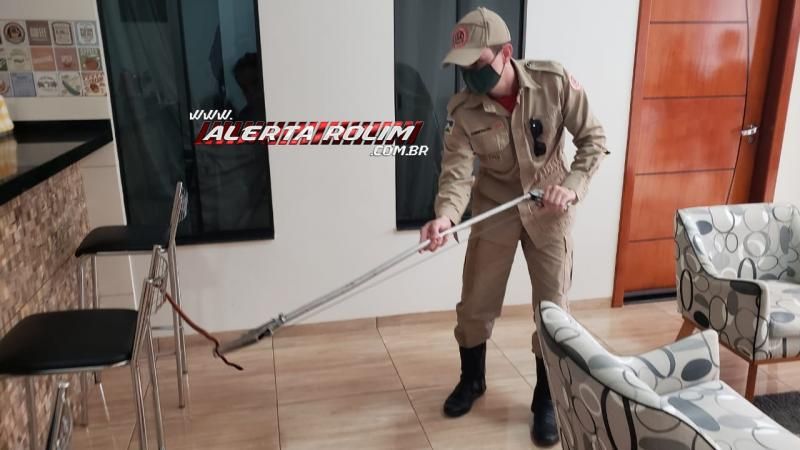 Bombeiros capturam cobra que estava enrolada em banqueta de residência do Nova Morada em Rolim de Moura Bombeiros capturam cobra que estava enrolada em banqueta de residência do Nova Morada em Rolim de Moura