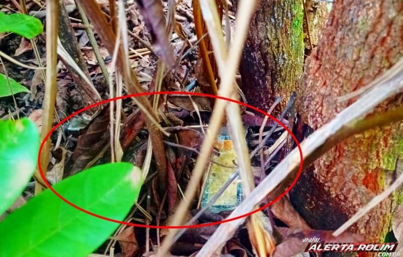 Homem apontado como suspeito no envolvimento de vários roubos é preso pela PM com arma de fogo em Rolim de Moura Homem apontado como suspeito no envolvimento de vários roubos é preso pela PM com arma de fogo em Rolim de Moura