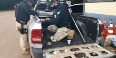 PRF realiza maior apreensão de cocaína nas BRs de Rondônia neste ano PRF realiza maior apreensão de cocaína nas BRs de Rondônia neste ano