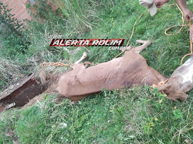 Bombeiros resgatam cavalo que estava dentro de fossa no Bairro Centenário em Rolim de Moura Bombeiros resgatam cavalo que estava dentro de fossa no Bairro Centenário em Rolim de Moura