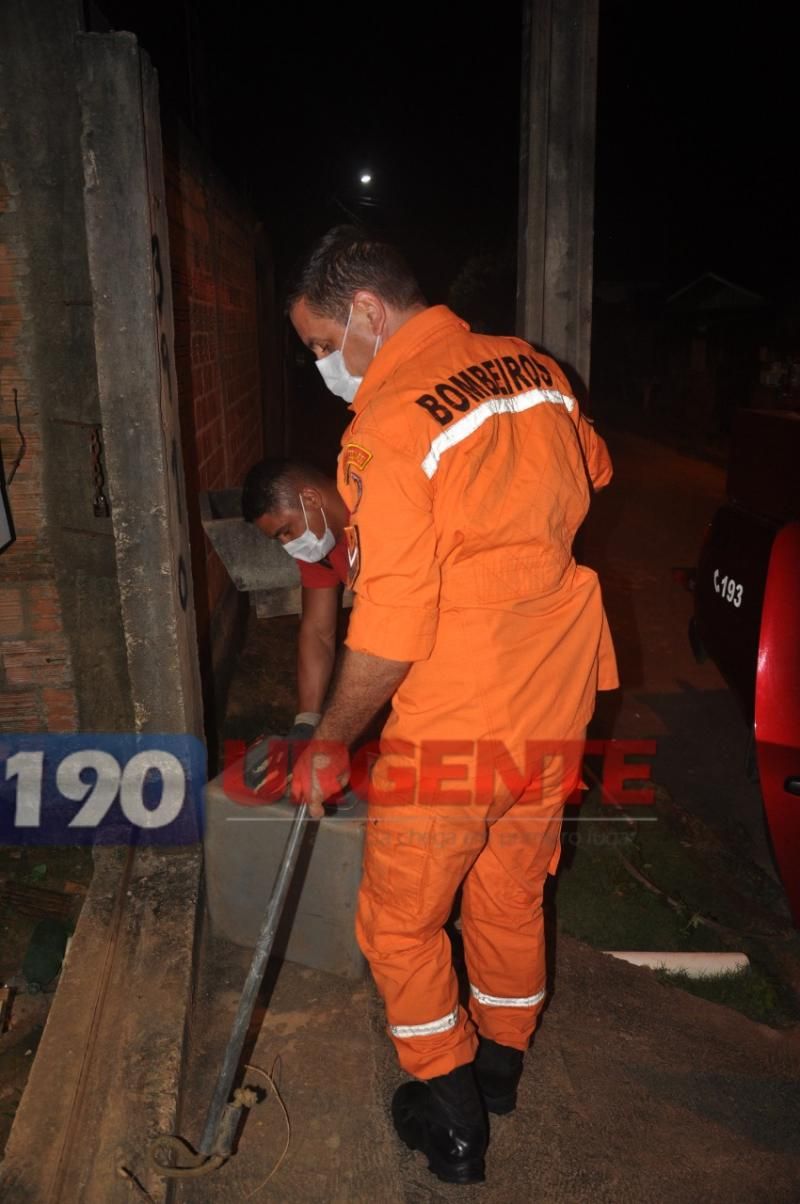 Corpo de Bombeiros captura Jacaré no portão de residência em Ariquemes Corpo de Bombeiros captura Jacaré no portão de residência em Ariquemes