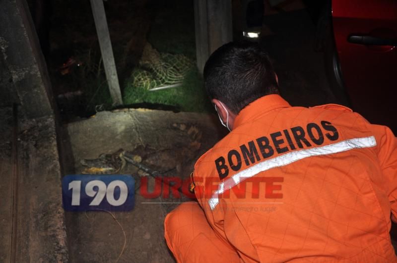 Corpo de Bombeiros captura Jacaré no portão de residência em Ariquemes Corpo de Bombeiros captura Jacaré no portão de residência em Ariquemes