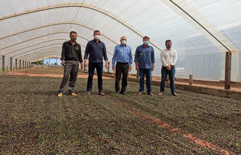 Governo do Estado de Rondônia incentiva a agricultura cafeeira Governo do Estado de Rondônia incentiva a agricultura cafeeira