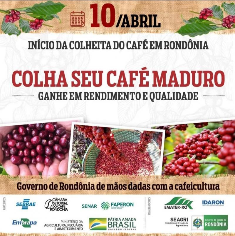 Governo do Estado de Rondônia incentiva a agricultura cafeeira
