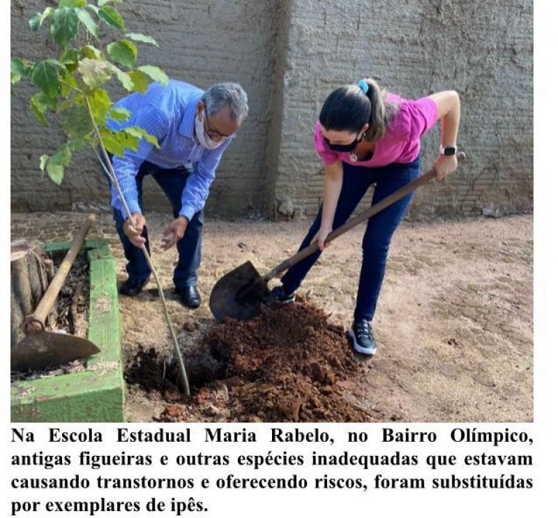 Secretaria de Meio Ambiente distribuiu mais de 500 mudas de arvores para agricultores em Rolim de Moura