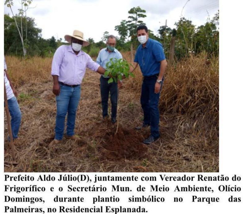 Secretaria de Meio Ambiente distribuiu mais de 500 mudas de arvores para agricultores em Rolim de Moura Secretaria de Meio Ambiente distribuiu mais de 500 mudas de arvores para agricultores em Rolim de Moura