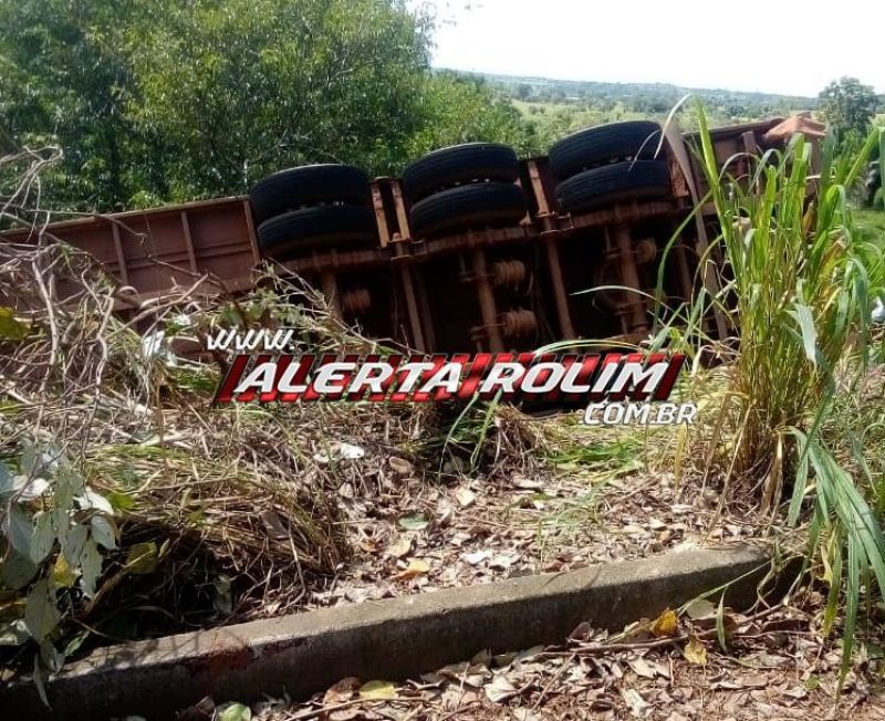 Carreta carregada com 85 cabeças de gado tomba após sofrer pane, na RO-489 em São Felipe; 75 garrotes morreram - Veja o vídeo Carreta carregada com 85 cabeças de gado tomba após sofrer pane, na RO-489 em São Felipe; 75 garrotes morreram - Veja o vídeo