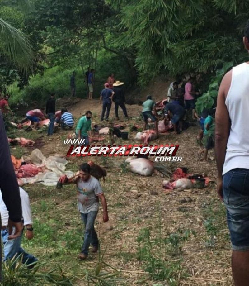 Carreta carregada com 85 cabeças de gado tomba após sofrer pane, na RO-489 em São Felipe; 75 garrotes morreram - Veja o vídeo Carreta carregada com 85 cabeças de gado tomba após sofrer pane, na RO-489 em São Felipe; 75 garrotes morreram - Veja o vídeo