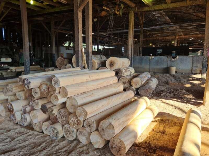 Operação ‘Wood Land’ da PF combate crimes ambientais e comercialização de madeira ilegal de terras indígenas Operação ‘Wood Land’ da PF combate crimes ambientais e comercialização de madeira ilegal de terras indígenas