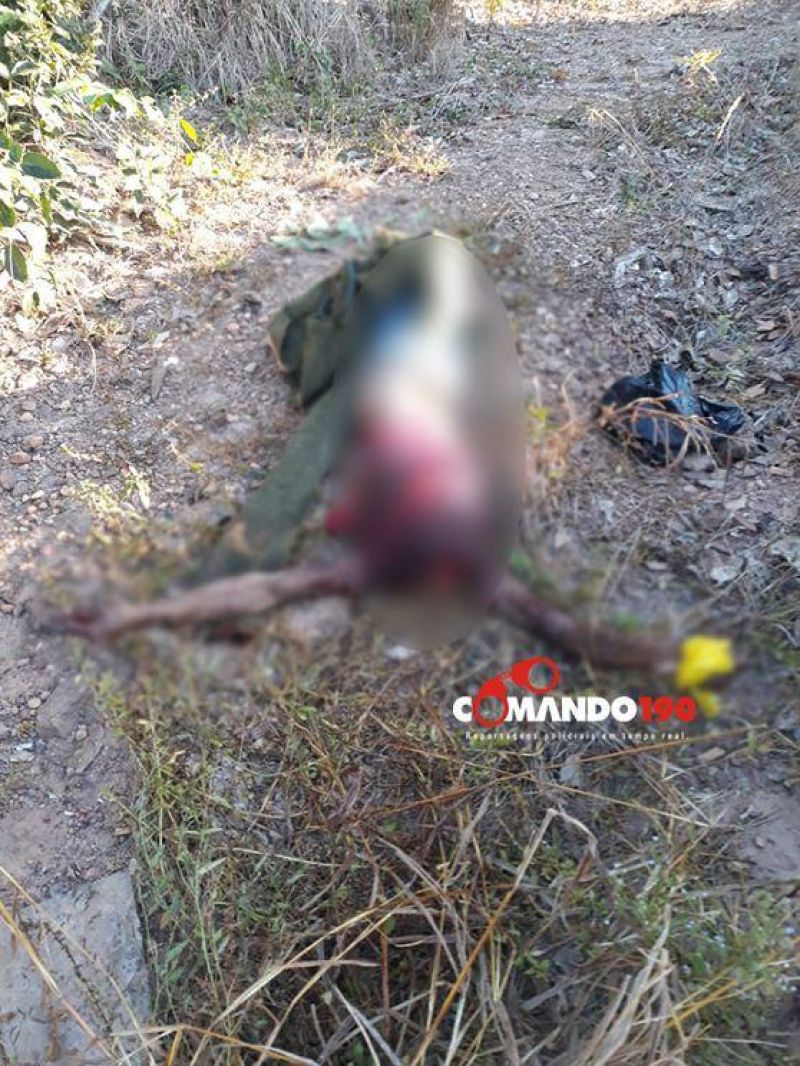 URGENTE - Corpo é encontrado decapitado, em Presidente Médici URGENTE - Corpo é encontrado decapitado, em Presidente Médici