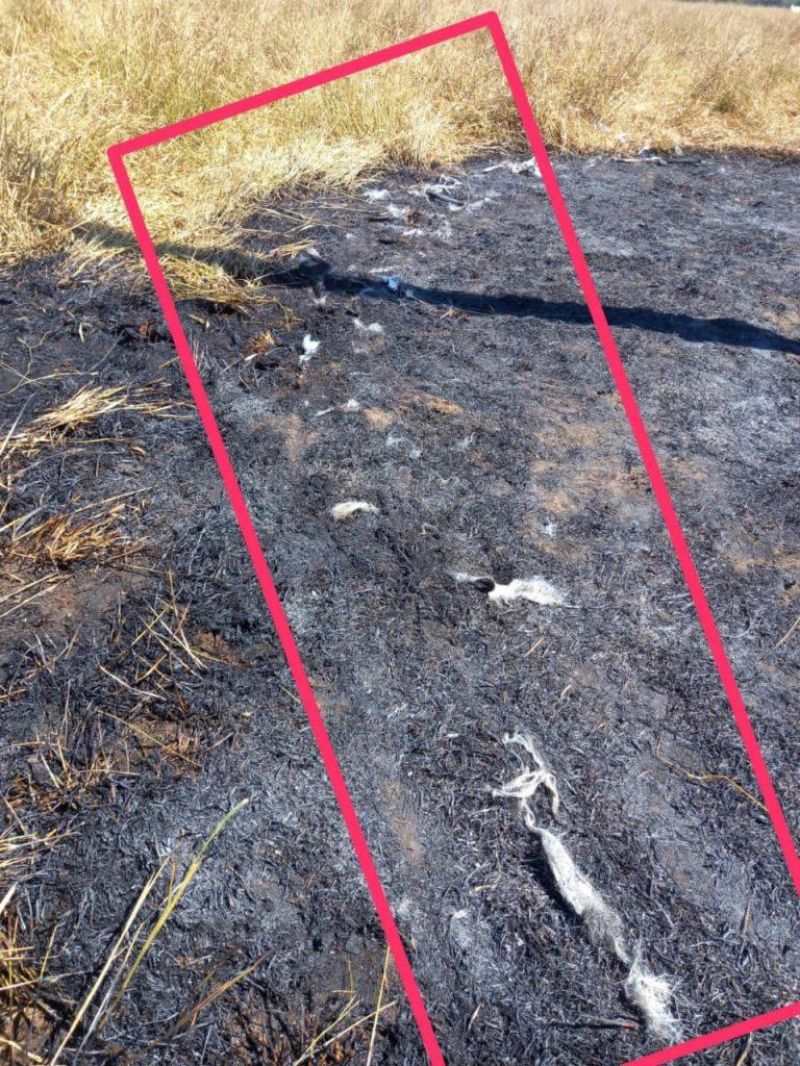 Funcionário de empresa de internet morre eletrocutado em poste no setor de chácaras em Vilhena Funcionário de empresa de internet morre eletrocutado em poste no setor de chácaras em Vilhena