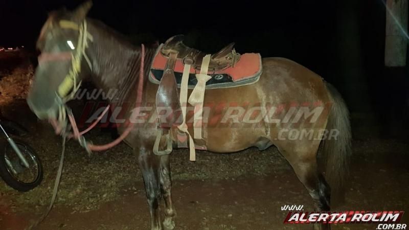 Motociclista é socorrido pelo Corpo de Bombeiros, após colidir em cavalo na RO-383 em Rolim de Moura Motociclista é socorrido pelo Corpo de Bombeiros, após colidir em cavalo na RO-383 em Rolim de Moura