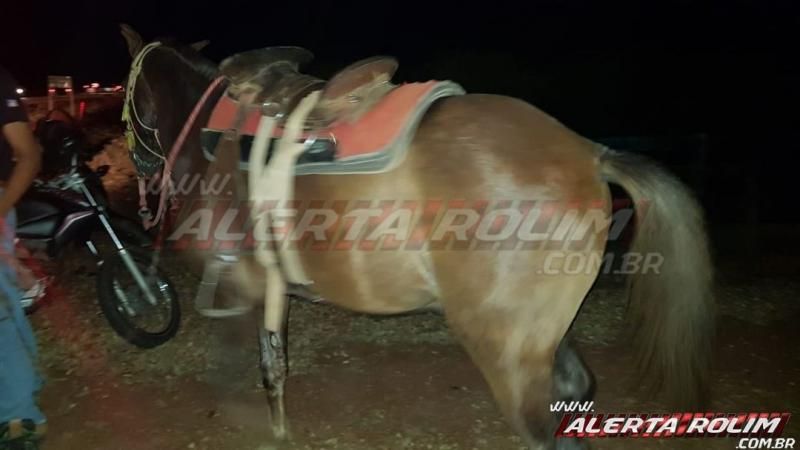 Motociclista é socorrido pelo Corpo de Bombeiros, após colidir em cavalo na RO-383 em Rolim de Moura Motociclista é socorrido pelo Corpo de Bombeiros, após colidir em cavalo na RO-383 em Rolim de Moura