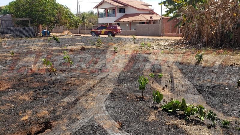 Leitoa é queimada viva durante incêndio em vegetação no setor chacareiro em Rolim de moura Leitoa é queimada viva durante incêndio em vegetação no setor chacareiro em Rolim de moura