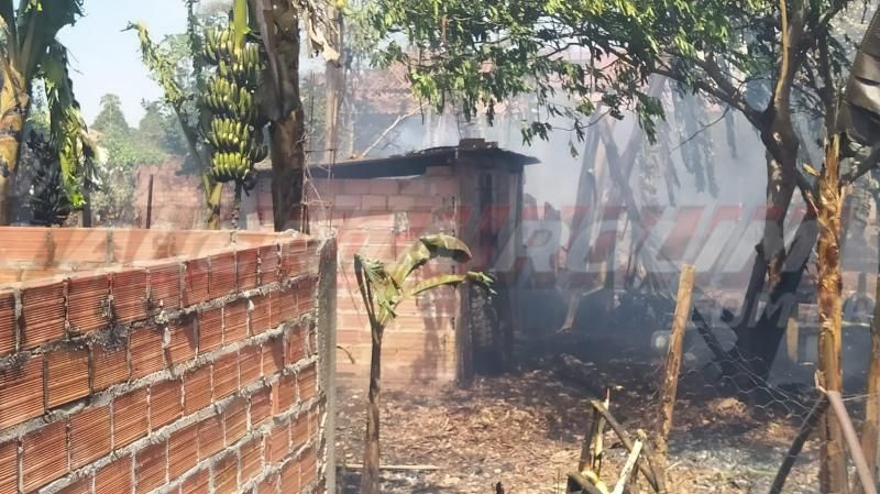 Leitoa é queimada viva durante incêndio em vegetação no setor chacareiro em Rolim de moura Leitoa é queimada viva durante incêndio em vegetação no setor chacareiro em Rolim de moura