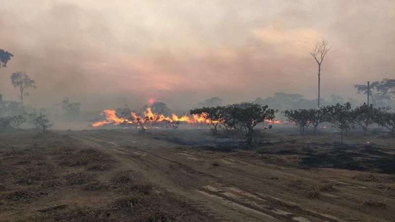 Mais de 400 alqueires foram atingidos por incêndio na zona rural de Rolim de Moura; vídeo de animais mortos pelo fogo não é da região Mais de 400 alqueires foram atingidos por incêndio na zona rural de Rolim de Moura; vídeo de animais mortos pelo fogo não é da região