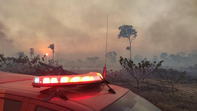 Mais de 400 alqueires foram atingidos incêndio na zona rural de Rolim de Moura; vídeo de animais mortos pelo fogo não são da região