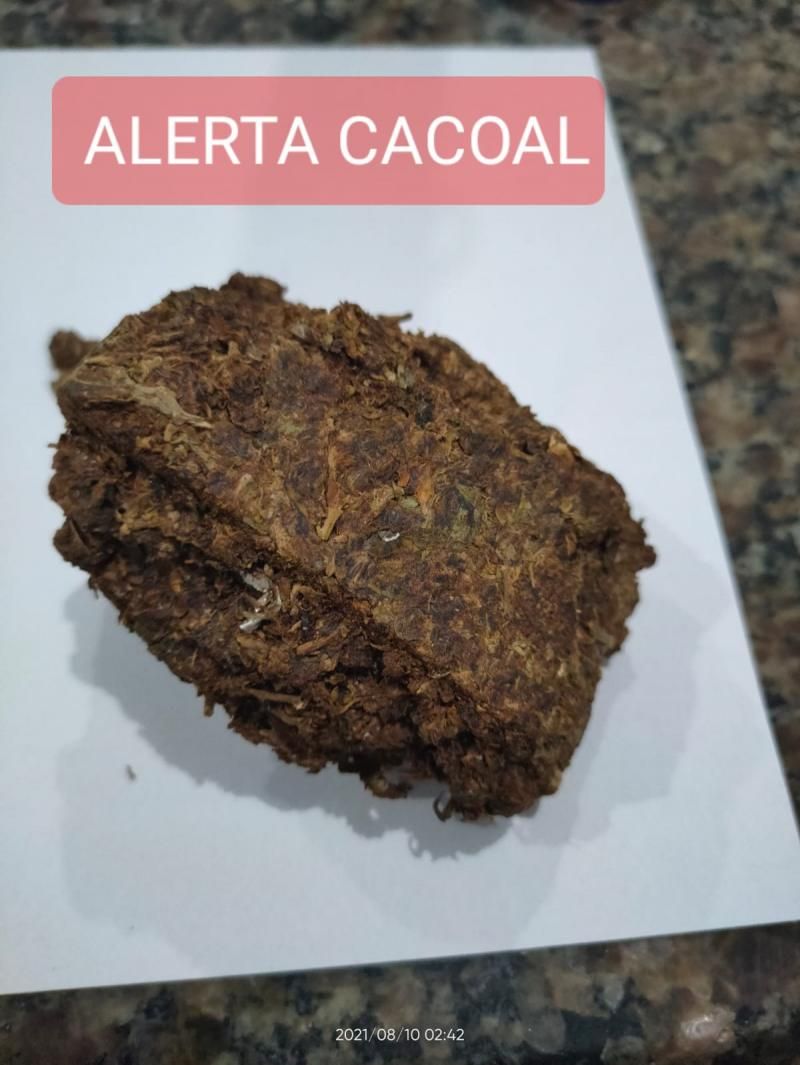 Membros do PCC são presos após troca de tiros com a Polícia Militar de Cacoal Membros do PCC são presos após troca de tiros com a Polícia Militar de Cacoal