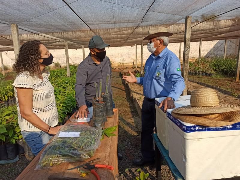 Vice-Governador José Jodan incentiva novas culturas para a Agricultura Familiar do Estado de Rondônia Vice-Governador José Jodan incentiva novas culturas para a Agricultura Familiar do Estado de Rondônia