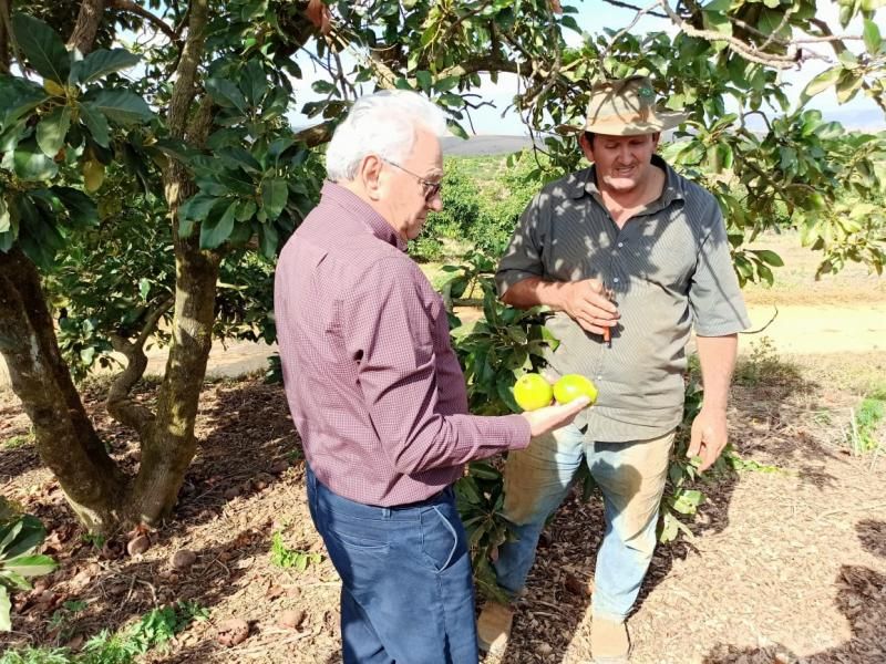 Vice-Governador José Jodan incentiva novas culturas para a Agricultura Familiar do Estado de Rondônia Vice-Governador José Jodan incentiva novas culturas para a Agricultura Familiar do Estado de Rondônia