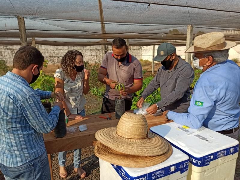 Vice-Governador José Jodan incentiva novas culturas para a Agricultura Familiar do Estado de Rondônia Vice-Governador José Jodan incentiva novas culturas para a Agricultura Familiar do Estado de Rondônia