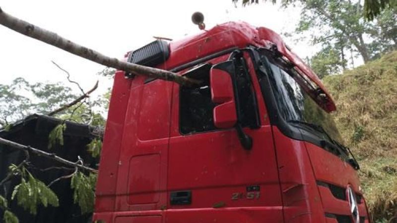 Árvore cai, atinge veículos e deixa BR-364 interditada entre Jaru e Ariquemes Árvore cai, atinge veículos e deixa BR-364 interditada entre Jaru e Ariquemes