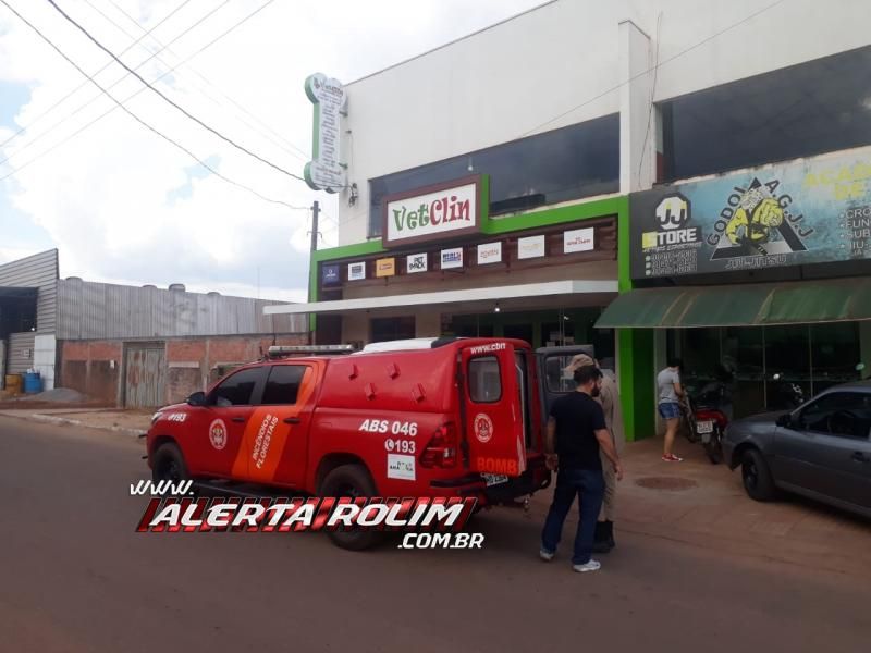 Bombeiros militares capturaram um porcão do mato nesta de sexta-feira em Rolim de Moura Bombeiros militares capturaram um porcão do mato nesta de sexta-feira em Rolim de Moura