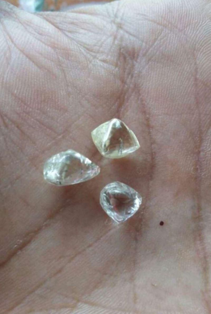PF desarticula associação criminosa voltada ao comércio ilegal de diamantes em Rondônia PF desarticula associação criminosa voltada ao comércio ilegal de diamantes em Rondônia