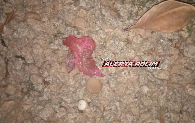 Criança de 05 anos se emociona ao encontrar seu cachorro de estimação morto, possivelmente por envenenamento em Rolim de Moura - Vídeo Criança de 05 anos se emociona ao encontrar seu cachorro de estimação morto, possivelmente por envenenamento em Rolim de Moura - Vídeo