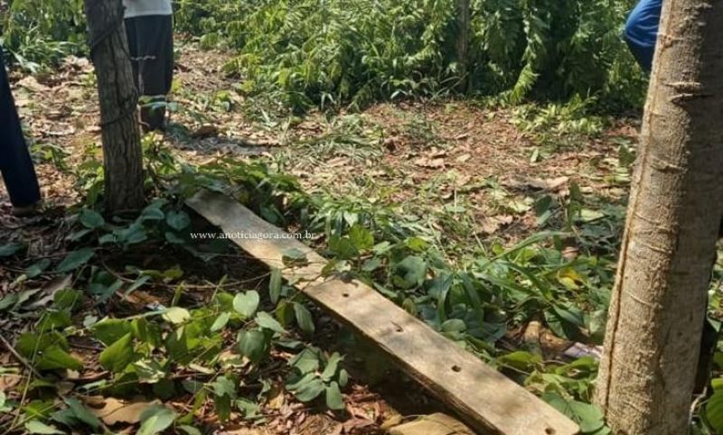 Motorista perde a vida em acidente de trânsito na RO-133, em Machadinho do Oeste Motorista perde a vida em acidente de trânsito na RO-133, em Machadinho do Oeste