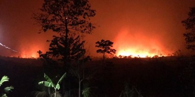 PF prende homem que seria responsável por incêndio de grandes proporções na reserva Margarida Alves PF prende homem que seria responsável por incêndio de grandes proporções na reserva Margarida Alves
