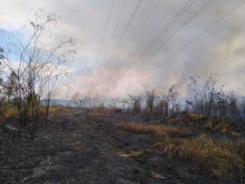 PF prende homem que seria responsável por incêndio de grandes proporções na reserva Margarida Alves PF prende homem que seria responsável por incêndio de grandes proporções na reserva Margarida Alves