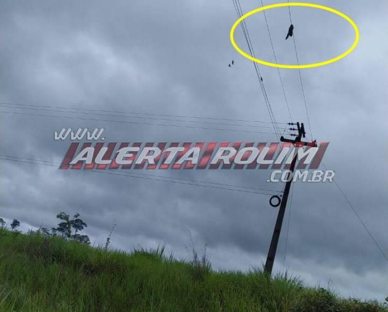 URGENTE - Após grave colisão na BR-429, perna de motociclista foi arrancada e parou sobre o fio de alta tensão da rede elétrica; assista ao vídeo URGENTE - Após grave colisão na BR-429, perna de motociclista foi arrancada e parou sobre o fio de alta tensão da rede elétrica; assista ao vídeo